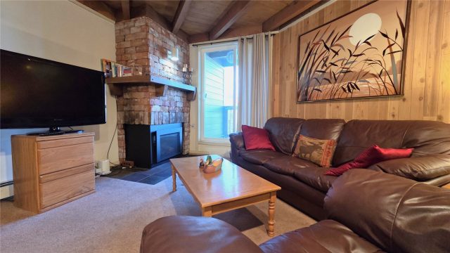 Timeshare in Treehouse Condo, Silverthorne, CO — photo 1 (MLS S1064255)
