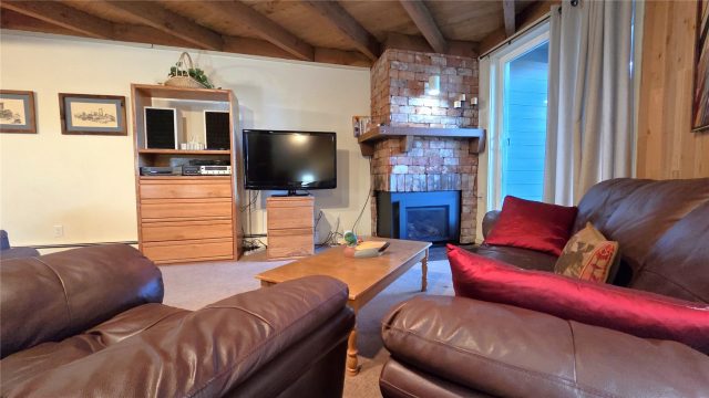 Timeshare in Treehouse Condo, Silverthorne, CO — photo 2 (MLS S1064255)