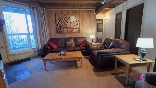 Timeshare in Treehouse Condo, Silverthorne, CO — photo 3 (MLS S1064255)