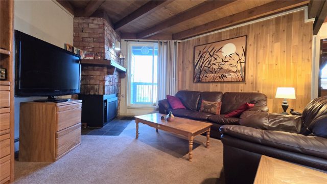 Timeshare in Treehouse Condo, Silverthorne, CO — photo 4 (MLS S1064255)