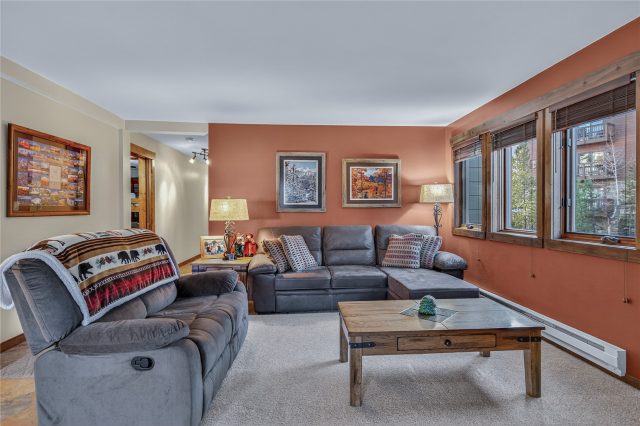 Condo in Park Place Condo, Breckenridge, CO — photo 3 (MLS S1064270)