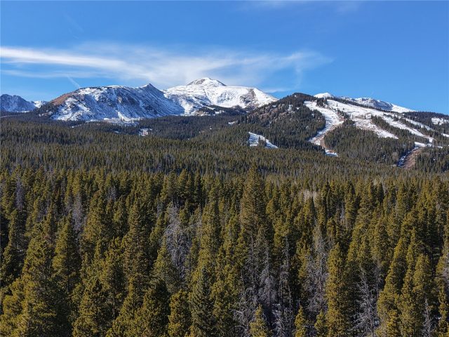Land in Gold King Placer Unsub, Breckenridge, CO — photo 3 (MLS S1064438)