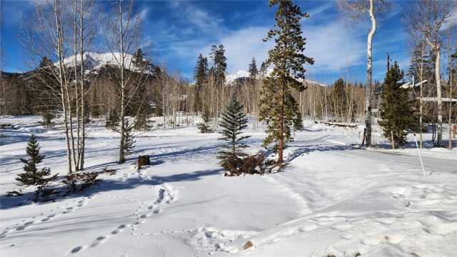 596 Aspen Drive photo 9
