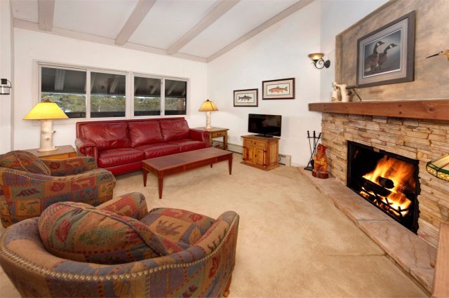 Condo in Forest Haus Condo, Breckenridge, CO — photo 1 (MLS S1064539)