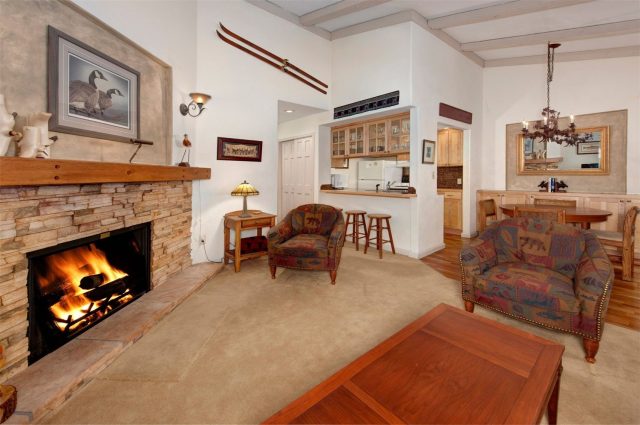 Condo in Forest Haus Condo, Breckenridge, CO — photo 5 (MLS S1064539)