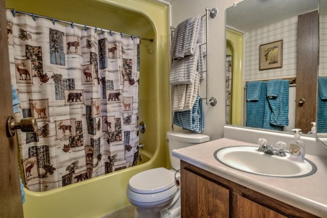 2300 Lodgepole Circle 101 photo 11