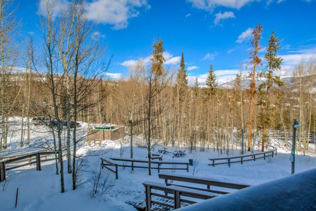 2300 Lodgepole Circle 101 photo 21