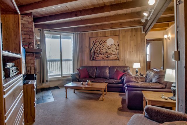 Timeshare in Treehouse Condo, Silverthorne, CO — photo 2 (MLS S1064569)