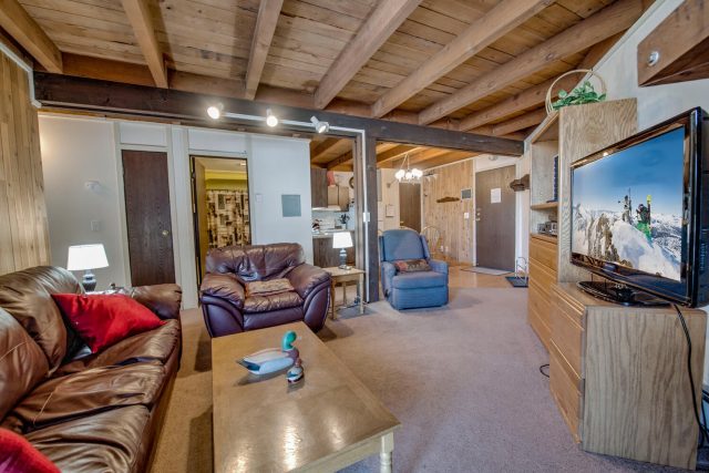 Timeshare in Treehouse Condo, Silverthorne, CO — photo 3 (MLS S1064569)