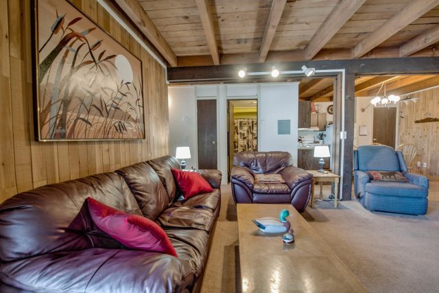 Timeshare in Treehouse Condo, Silverthorne, CO — photo 4 (MLS S1064569)
