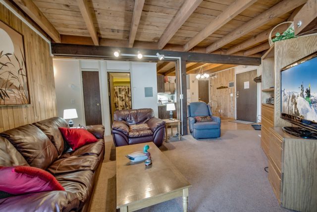 Timeshare in Treehouse Condo, Silverthorne, CO — photo 6 (MLS S1064569)
