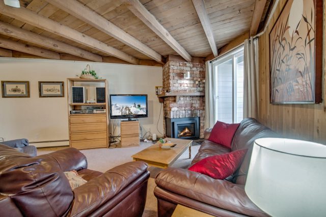 2300 Lodgepole Circle 101 photo 7