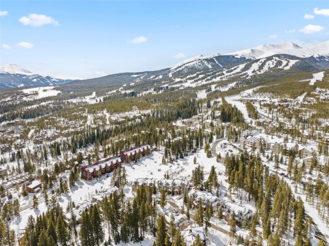 31 Tall Pines Drive 31 photo 20