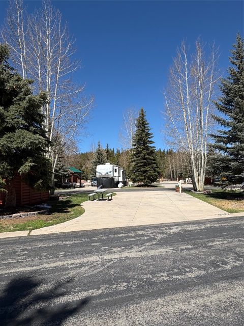 85 Revett Dr. #302 photo 13