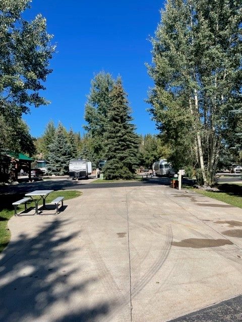 85 Revett Dr. #302 photo 2
