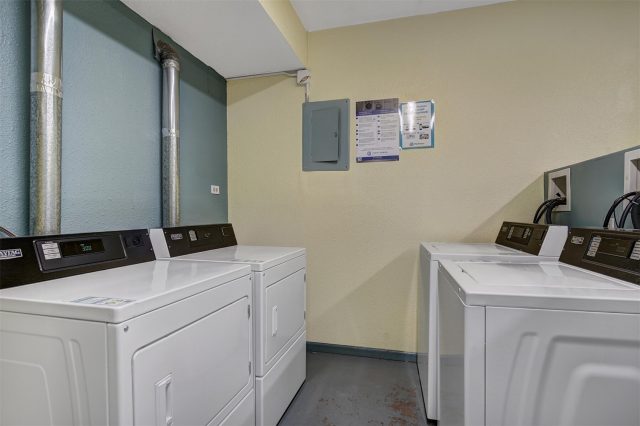 205 Primrose Path 3 photo 27