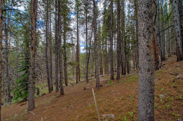 525 Gold King Way photo 24