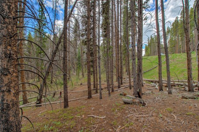 525 Gold King Way photo 33