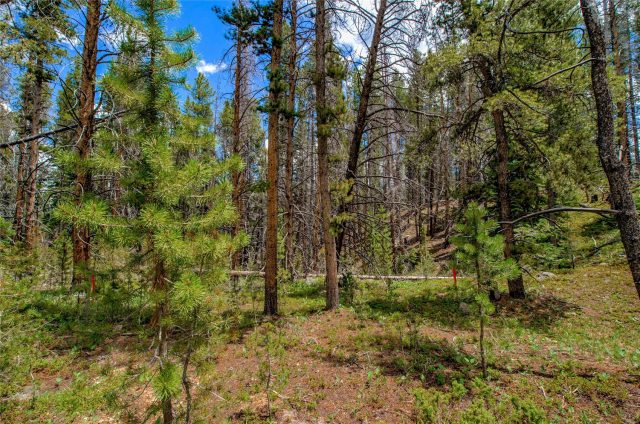 525 Gold King Way photo 36