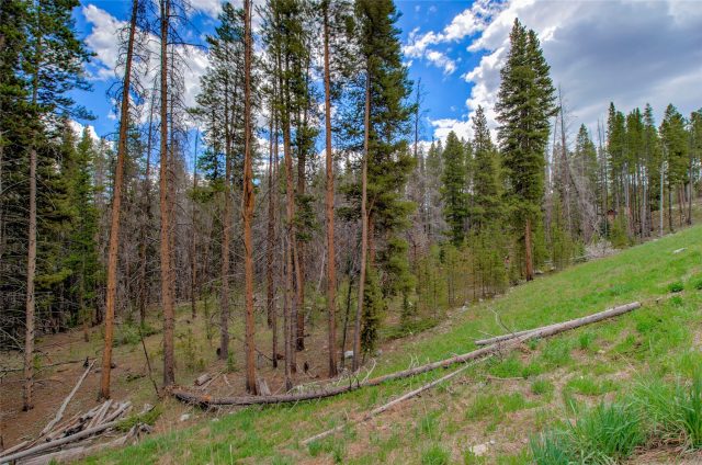 525 Gold King Way photo 38