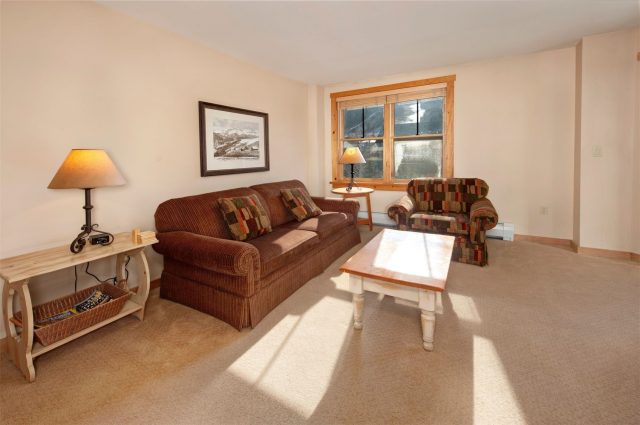 Condo in Buffalo Lodge And The Dakota Condos, Keystone, CO — photo 5 (MLS S1065750)