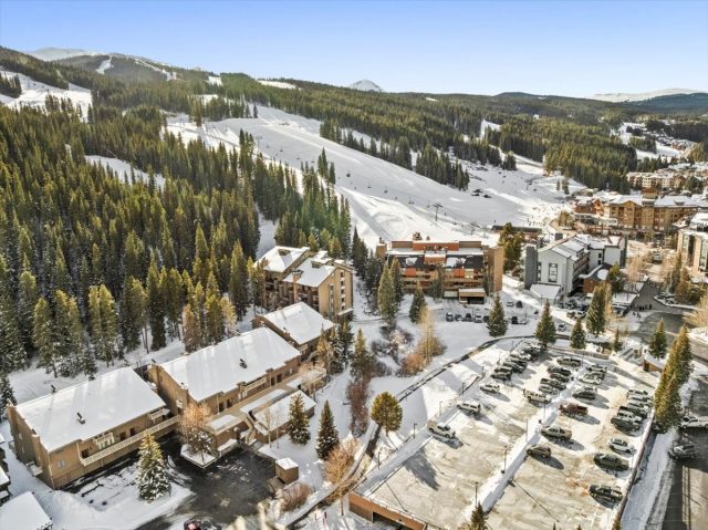 Condo in Ten Mile Condo, Copper Mountain, CO — photo 1 (MLS S1065766)