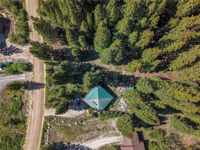 202 Doris Drive photo 43