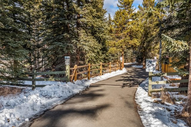 791 Rainbow Drive I photo 18
