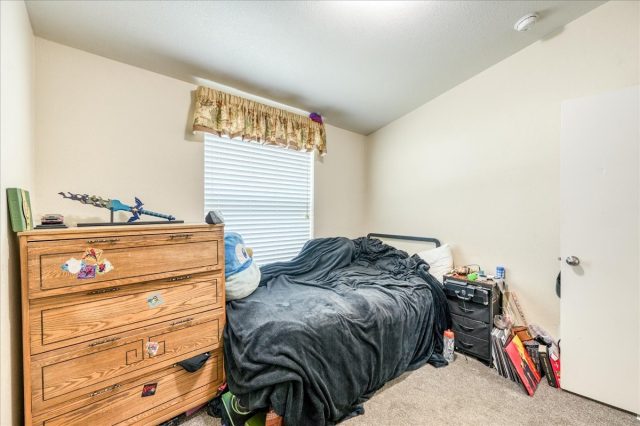 28 Maroon Peak Circle photo 18
