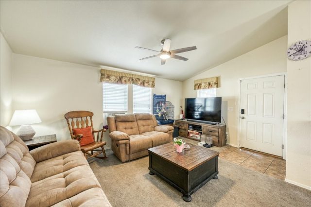 28 Maroon Peak Circle photo 19