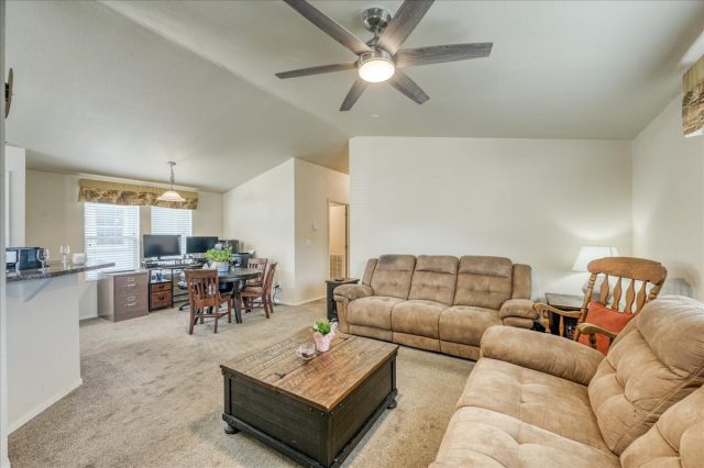 28 Maroon Peak Circle photo 20
