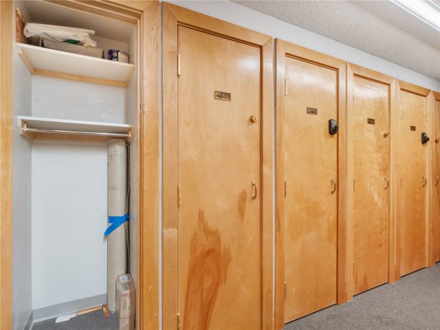 535 S Park Avenue 214 photo 26