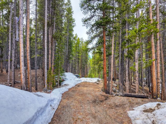 779 Gold King Way photo 10