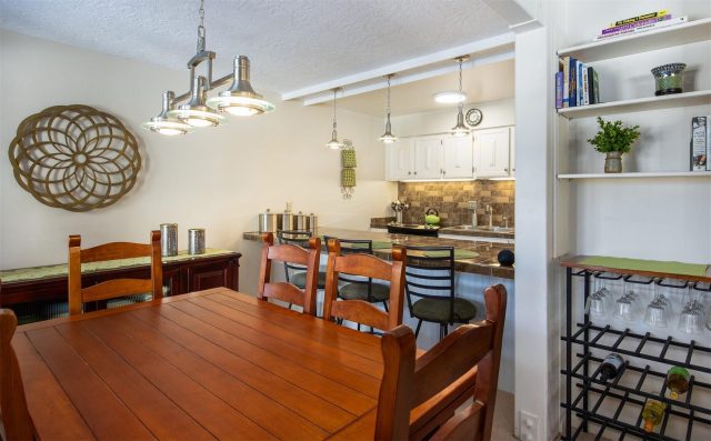101 Ryan Gulch Court 103 photo 10