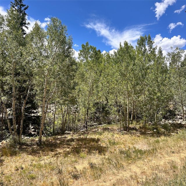 101 Ryan Gulch Court 103 photo 16