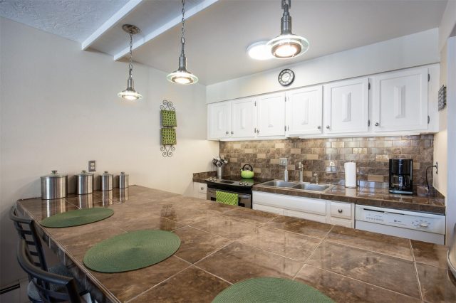 101 Ryan Gulch Court 103 photo 18