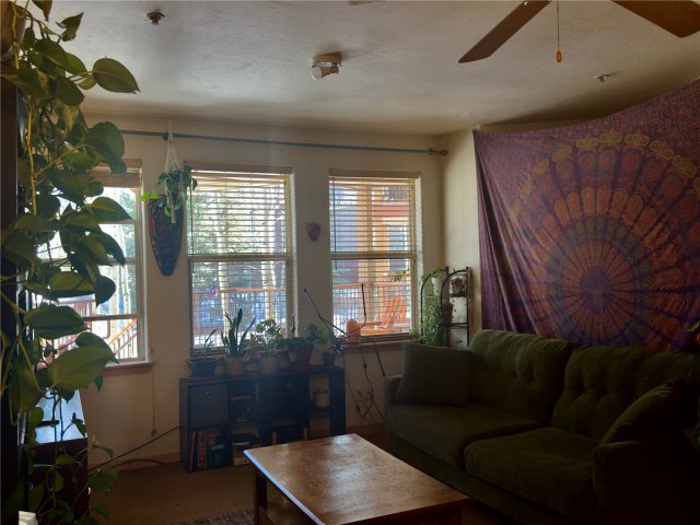 337 Streamside Lane 104 photo 5