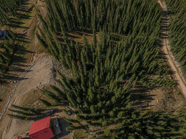 450 Quandary View Drive photo 9