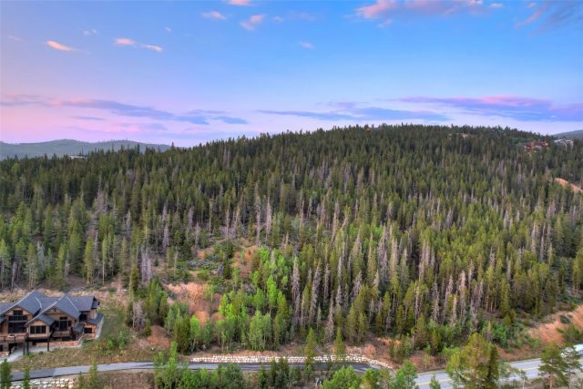 2211 Boreas Pass Road photo 12
