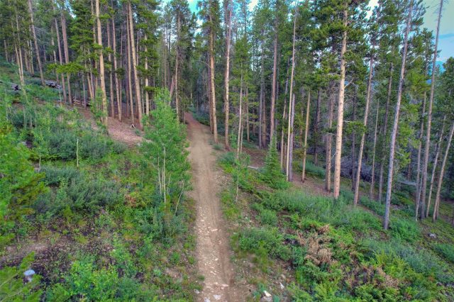 2211 Boreas Pass Road photo 16