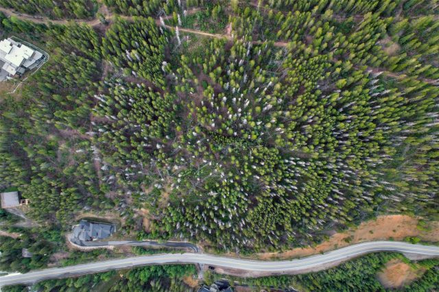 2211 Boreas Pass Road photo 7