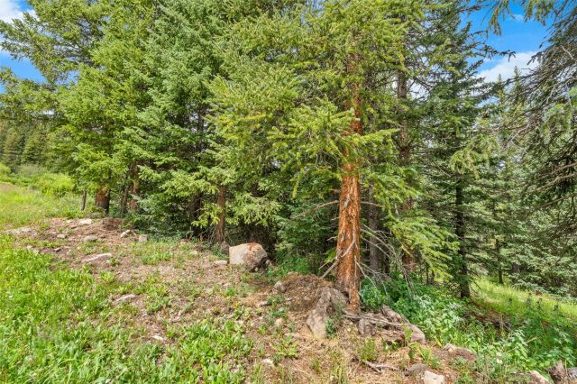 0057 County Road 675 photo 10