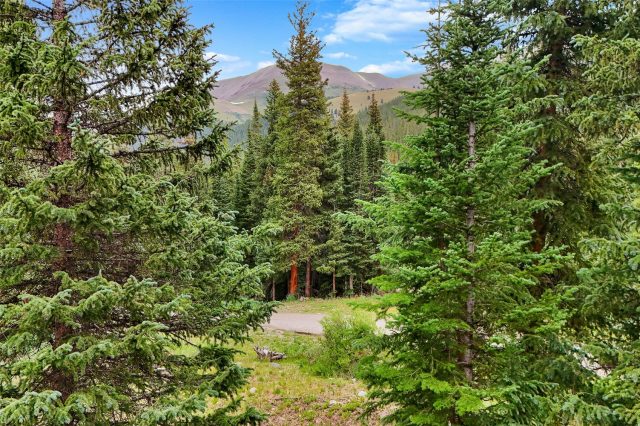 Land in Alpine Breckenridge Sub, Breckenridge, CO — photo 1 (MLS S1066138)