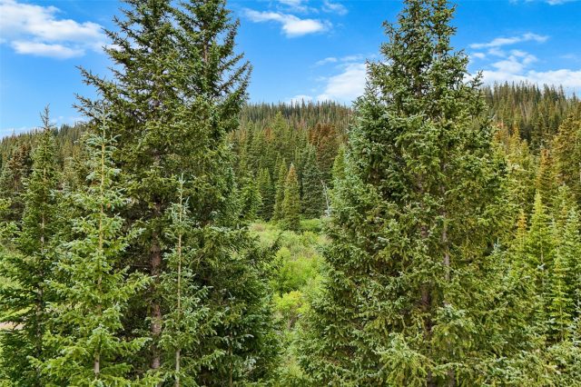Land in Alpine Breckenridge Sub, Breckenridge, CO — photo 2 (MLS S1066138)