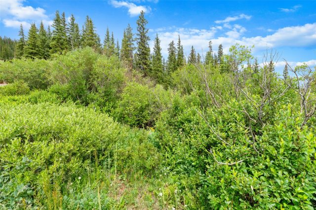 0057 County Road 675 photo 33
