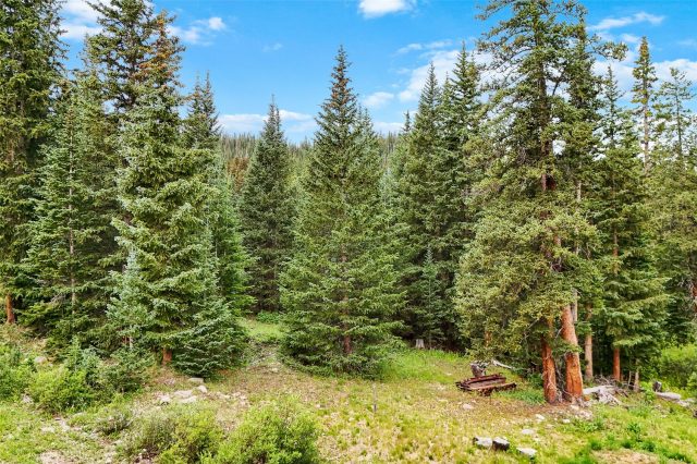 Land in Alpine Breckenridge Sub, Breckenridge, CO — photo 3 (MLS S1066138)