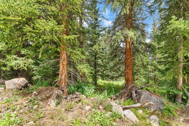 Land in Alpine Breckenridge Sub, Breckenridge, CO — photo 4 (MLS S1066138)