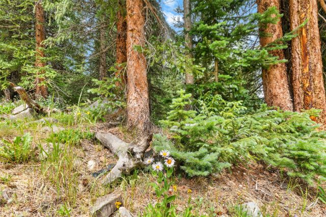 Land in Alpine Breckenridge Sub, Breckenridge, CO — photo 5 (MLS S1066138)