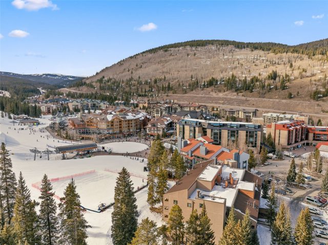 Condo in Spruce Lodge Condo, Copper Mountain, CO — photo 4 (MLS S1066253)
