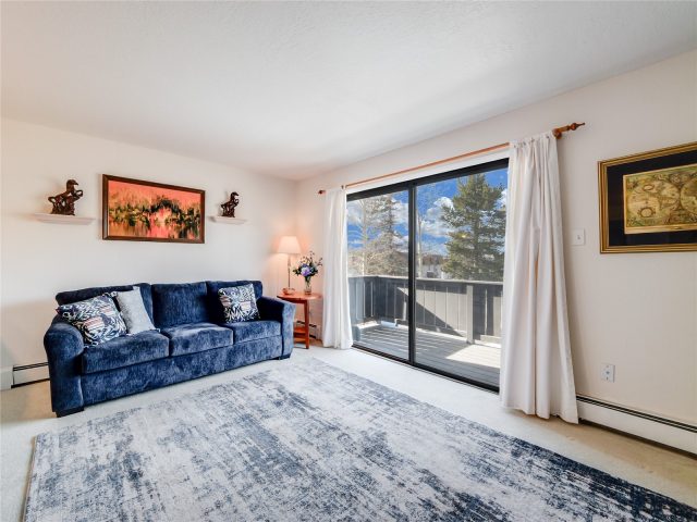 Condo in Dillon Valley East Condo, Dillon, CO — photo 2 (MLS S1066254)